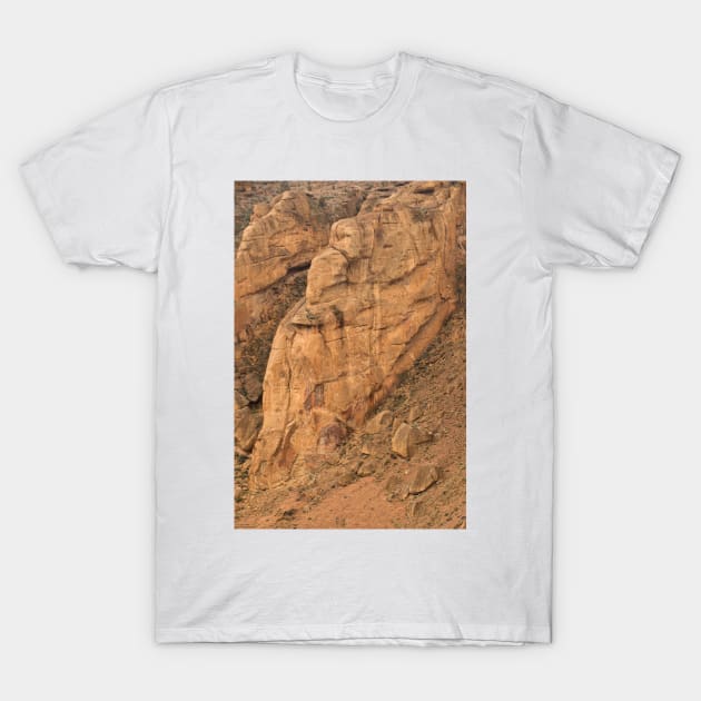 The Different Faces Of Smith Rock - 3 © T-Shirt by PrinceJohn